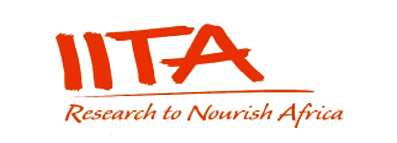 csm_IITA_logo_8063f56a55